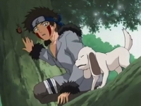 Kiba e Akamaru